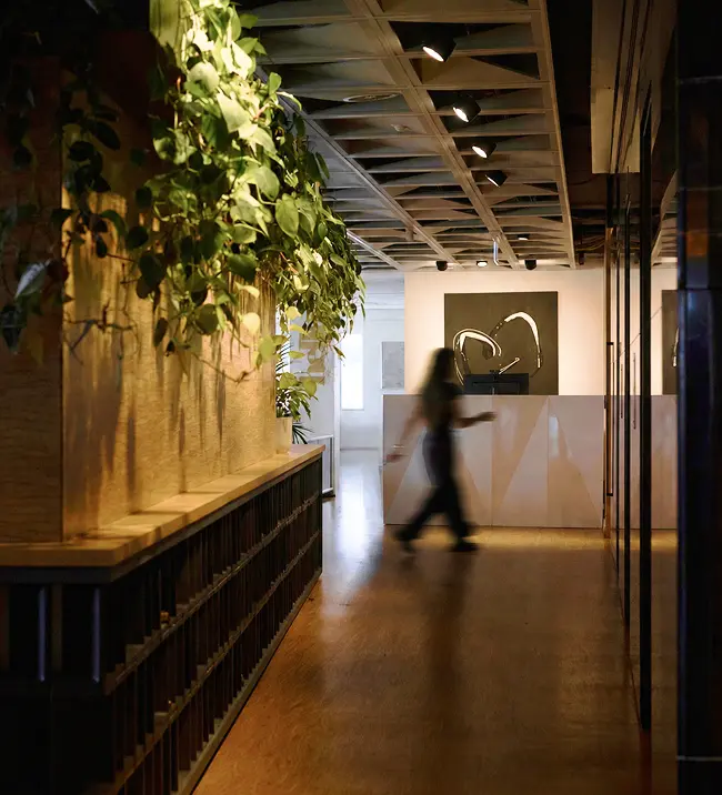 A planted office corridor